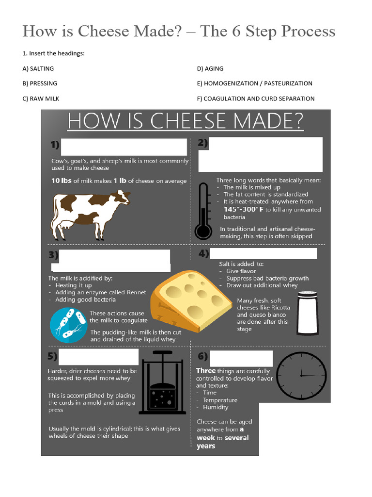 How Is Cheese Made Pdf Cheese Cheesemaking