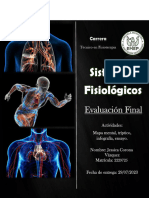 Evaluación Final