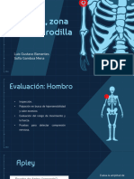 Hombro Lumbar Rodilla Semana 11