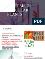 Systems in Vascular Plants 2