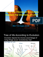11 Does The Theory of Evolution Explain The Diversity of Life