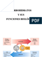 Clase005_Carbohidratos_Bioquímica I