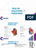 Principios Anatomia Diapositivas