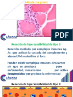 DIAPOSITIVAS Patologia General I 17
