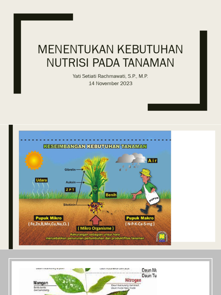 Menentukan Kebutuhan Nutrisi Pada Tanaman Pdf