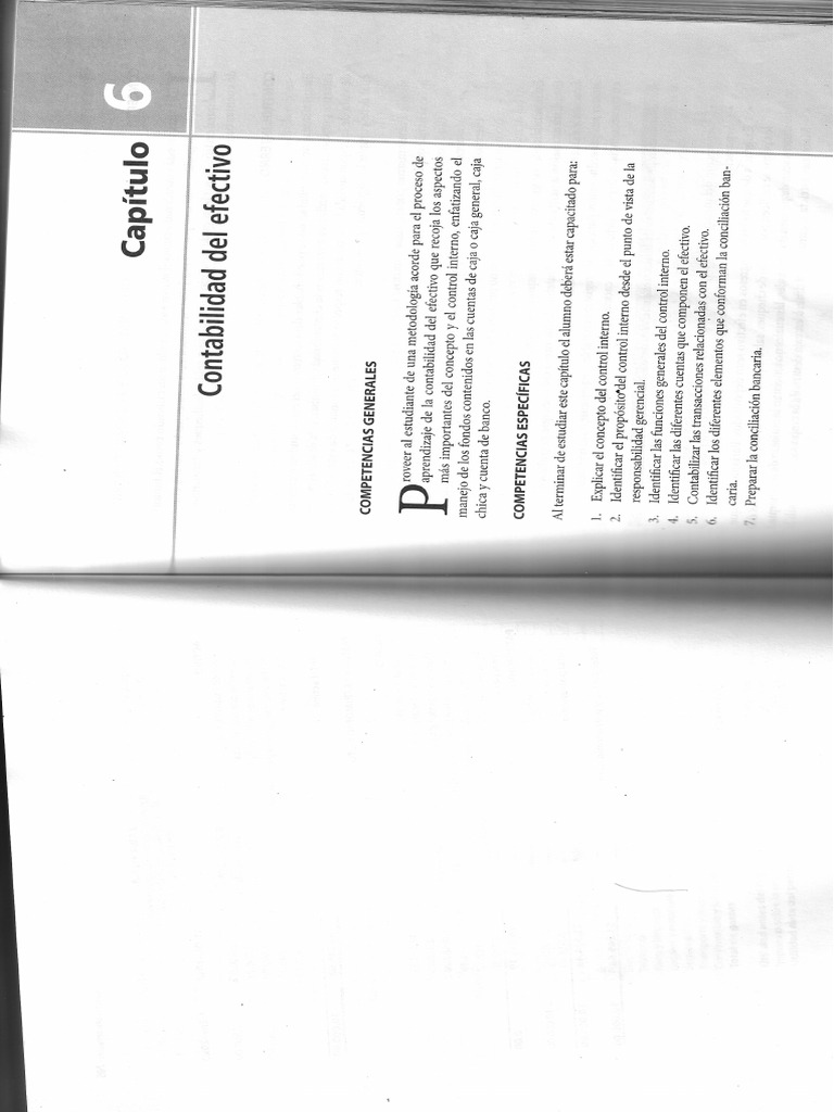 Cap 6 Contabilidad Pdf