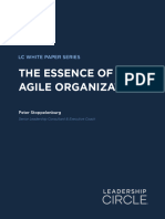 Essence of Agile Orgs