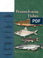 PA Fishes Book