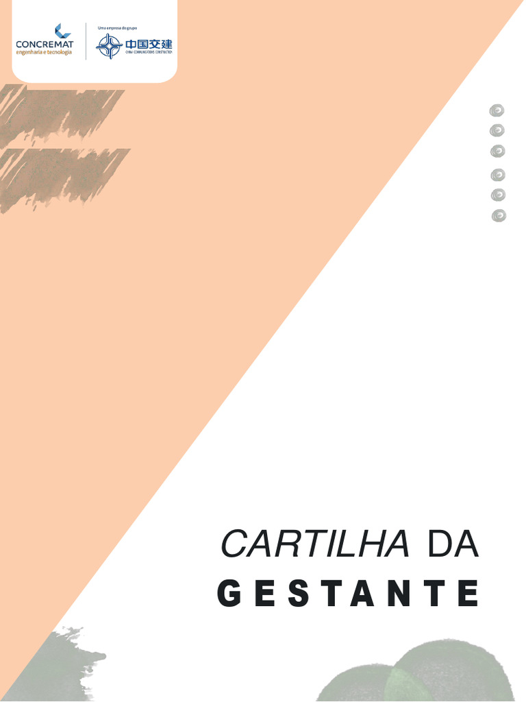 Cartilha Da Gestante CONCREMAT PDF Gravidez Parto