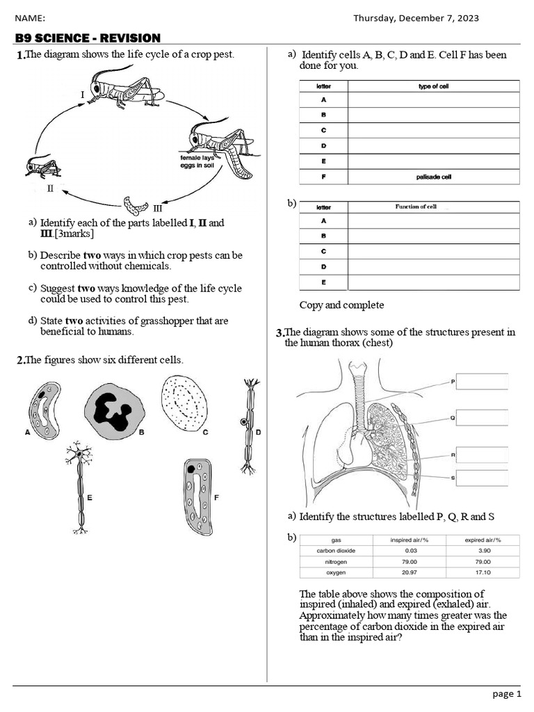 Maxi FREE POST - B9 SCIENCE PRACTICAL TEST - BCES | PDF | Chloride ...