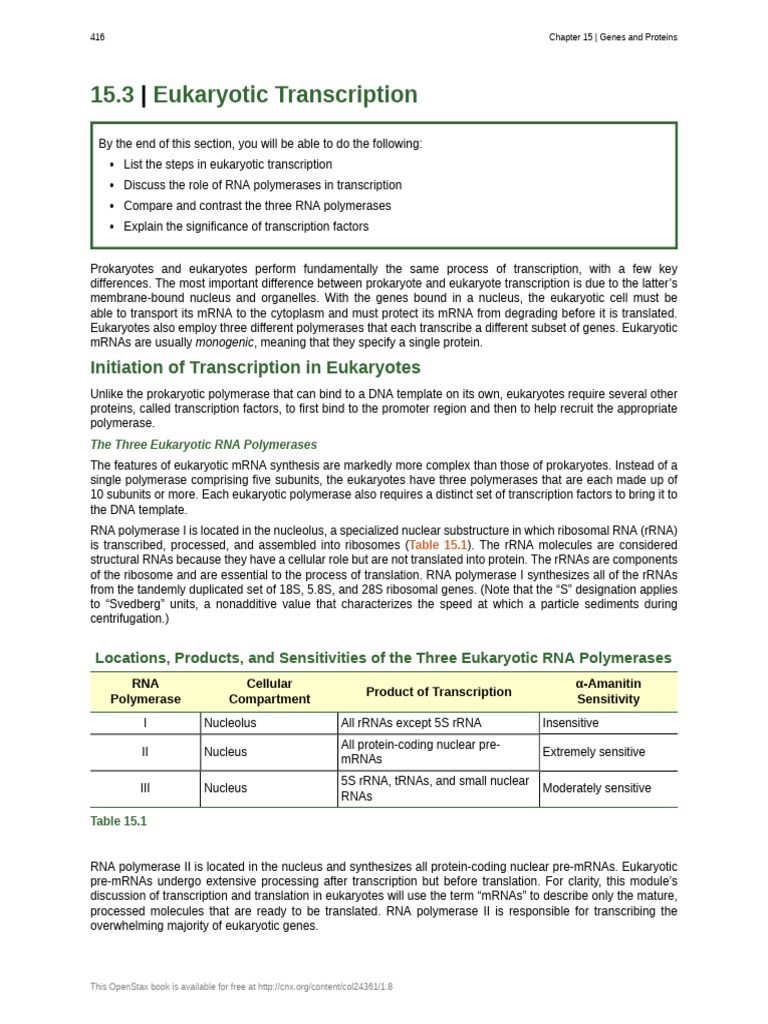 Eukaryotic Transcription | Download Free PDF | Promoter (Genetics) | Gene