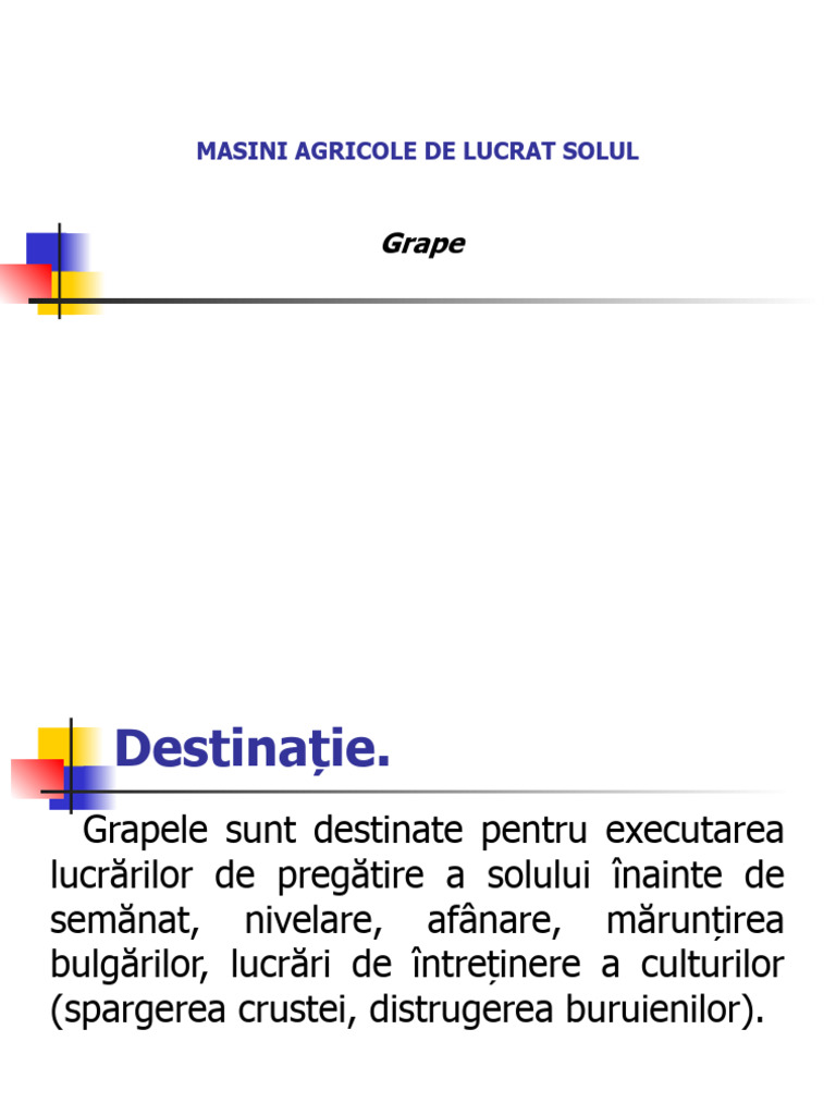 Grape | PDF