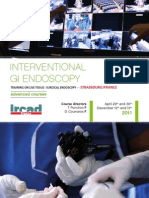 2011 Strasbourg Gi Endo Prog