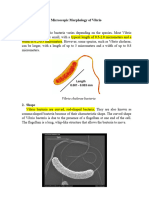 Morphology