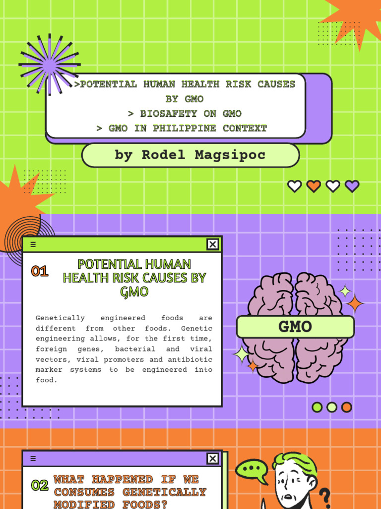 Potential Human Health Risk Causes by Gmo Biosafety On Gmo Gmo in ...