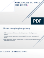 Hexose Monophosphate Pathway
