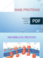 Membrane Proteins2