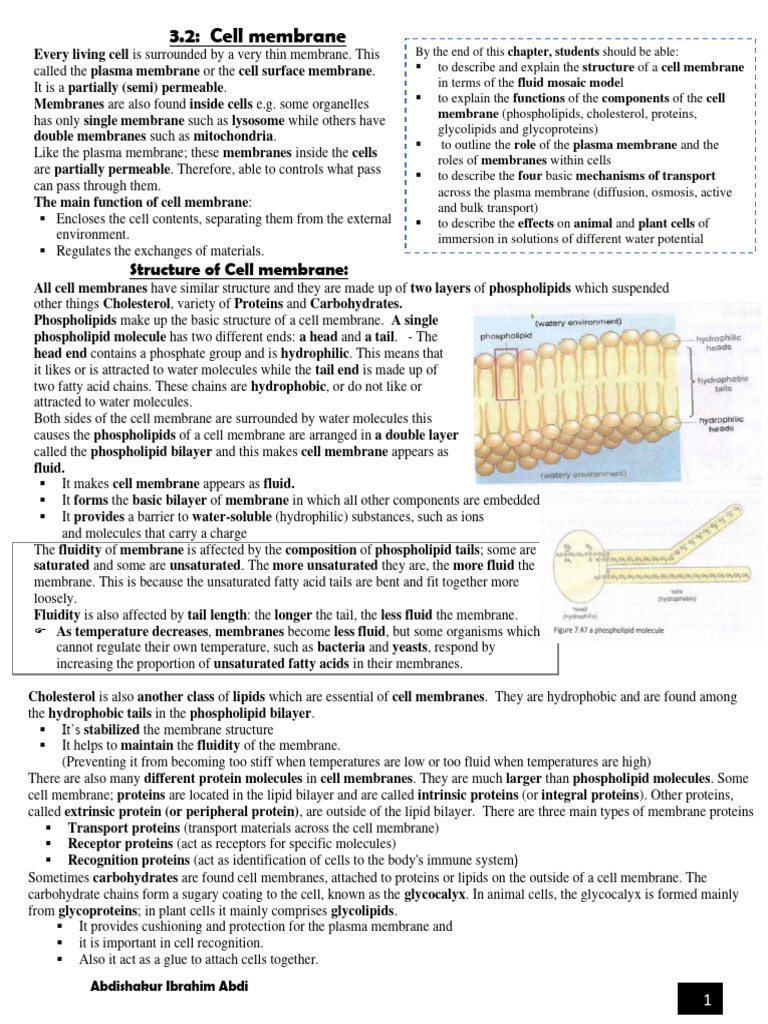 Cell Membrane | PDF | Cell Membrane | Cell (Biology)