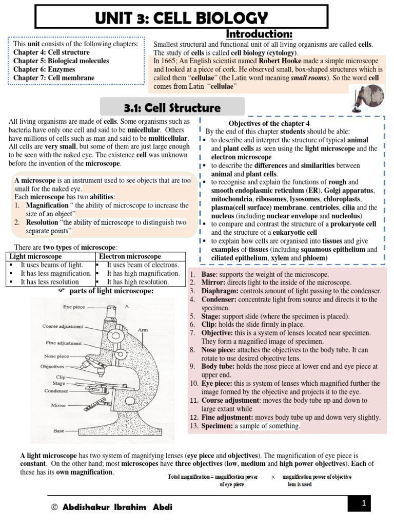 Unit 3 Cell Biology | PDF | Cell (Biology) | Endoplasmic Reticulum