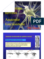 Systeme nerveux_Anatomie fonctionnelle