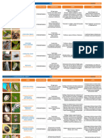 Entomologia2 SR DEF PRINT