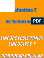 Linfocitos T