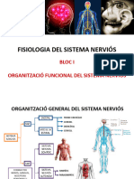 BLOC I. Organització Funcional Del Sistema Nerviós