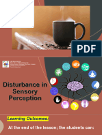 Disturbance in Sensory Perception Lecture