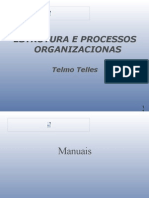 Estrutura E Processos Organizacionas: Telmo Telles