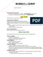 Meninges e Líquor