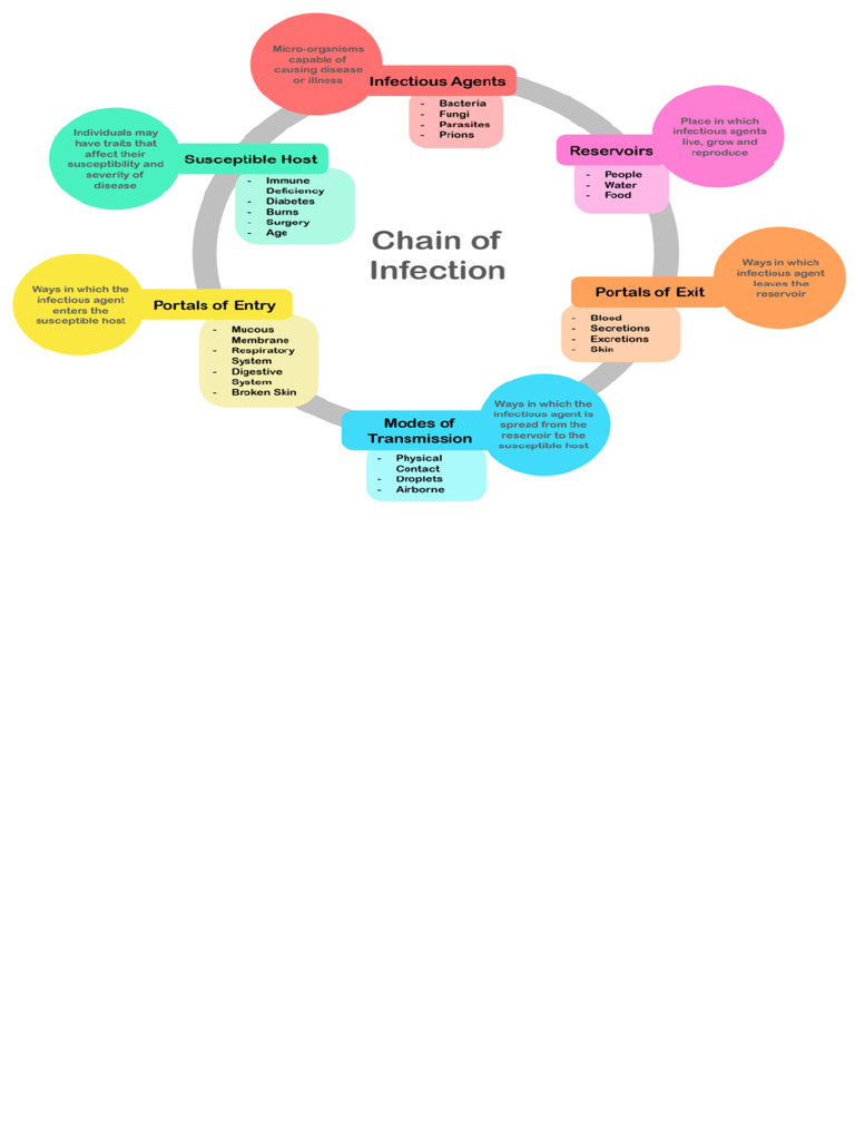 779px-Chain_of_Infection.png 779×599 pixels | PDF