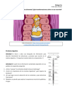 Cuál Es El Camino de Los Alimentos Doc-2