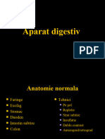 LP 6 MD4 Digestiv 1 2023-2024