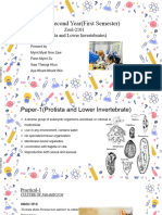 Protozoans and Lower Invertebrates