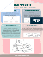 Sintesis de Adrenalina