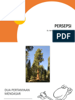 HSP - Persepsi