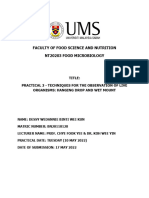 Lab Report 1 (Practical 3) - BN20110128