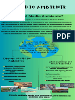 Infografía Cuidado Del Medio Ambiente Moderno Verde - 20231116 - 203921 - 0000