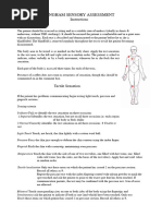 Nottingham Scale | PDF | Somatosensory System | Neuroscience