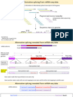 Week 11 PTGS - CSB349