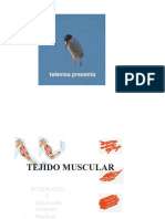 Tejido Muscular 1