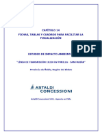 CAP 14-Fichas-EIA-LT PUNILLA Rev01