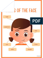 Paretes de La Cara en Ingles Preescolar