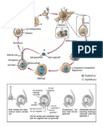 materi kelas 9 print