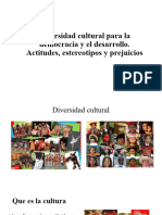 Tema 4 Diversidad Cultural