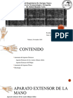 Aparato Extensor y Flexor de Mano