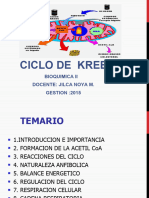 Ciclo de Krebs 15