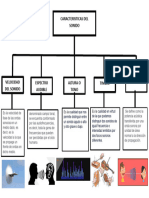 Caracteristicas Del Sonido