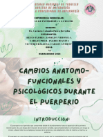 Cambios Anatomo-Funcionales y Psicológicos Durante El Puerperio