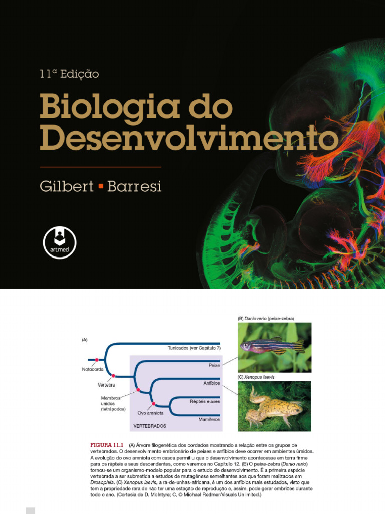 BIOLOGIA DO DESENVOLVIMENTO - GILBERT - Cap - 11 | PDF